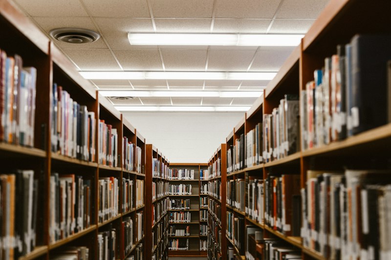 Esil University